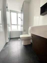 The Parc Condominium (D5), Condominium #483534171